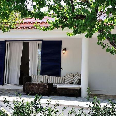 Villa Ftelia Скиатос Экстерьер фото